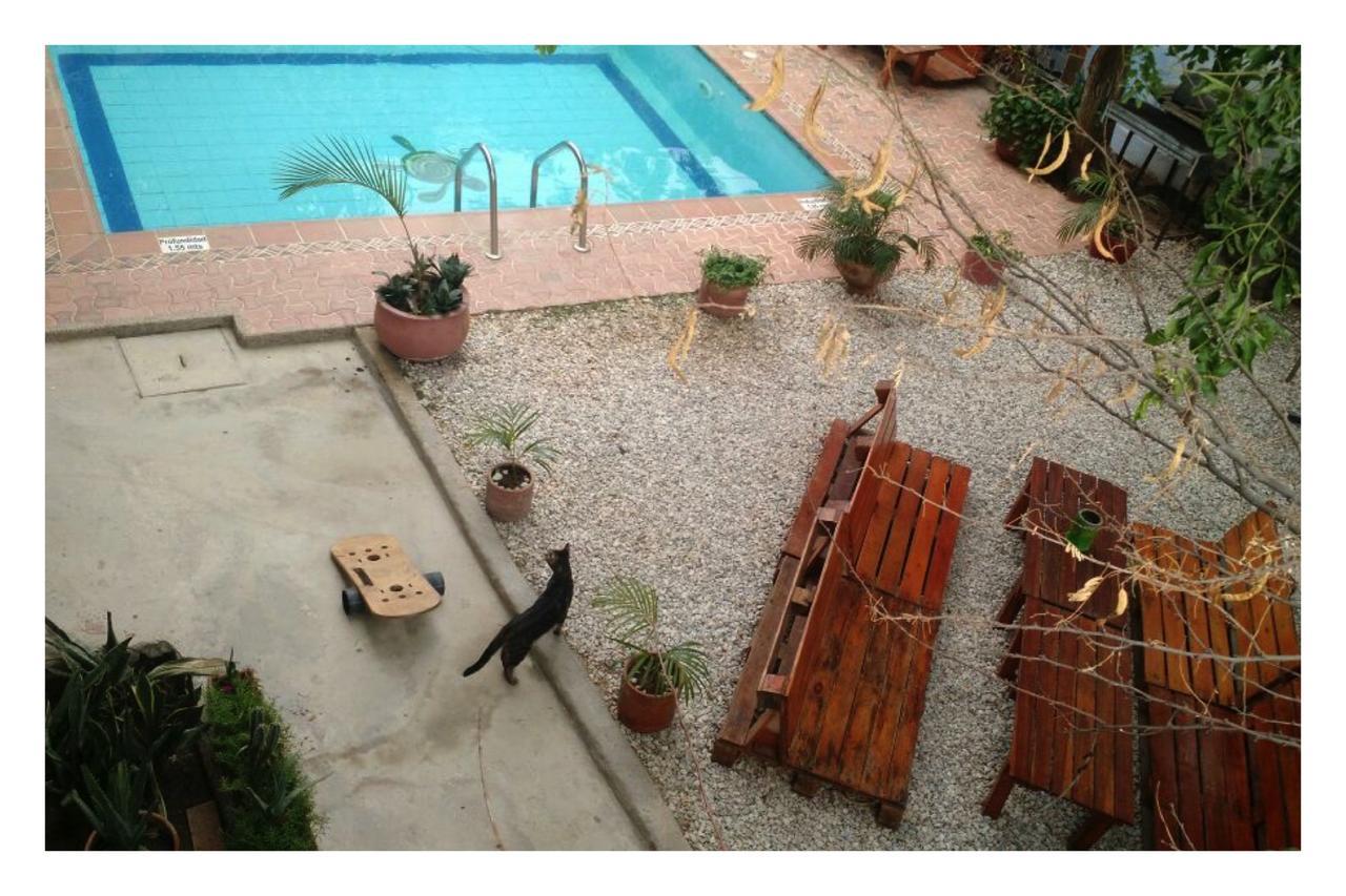 Hostal La Tortuga